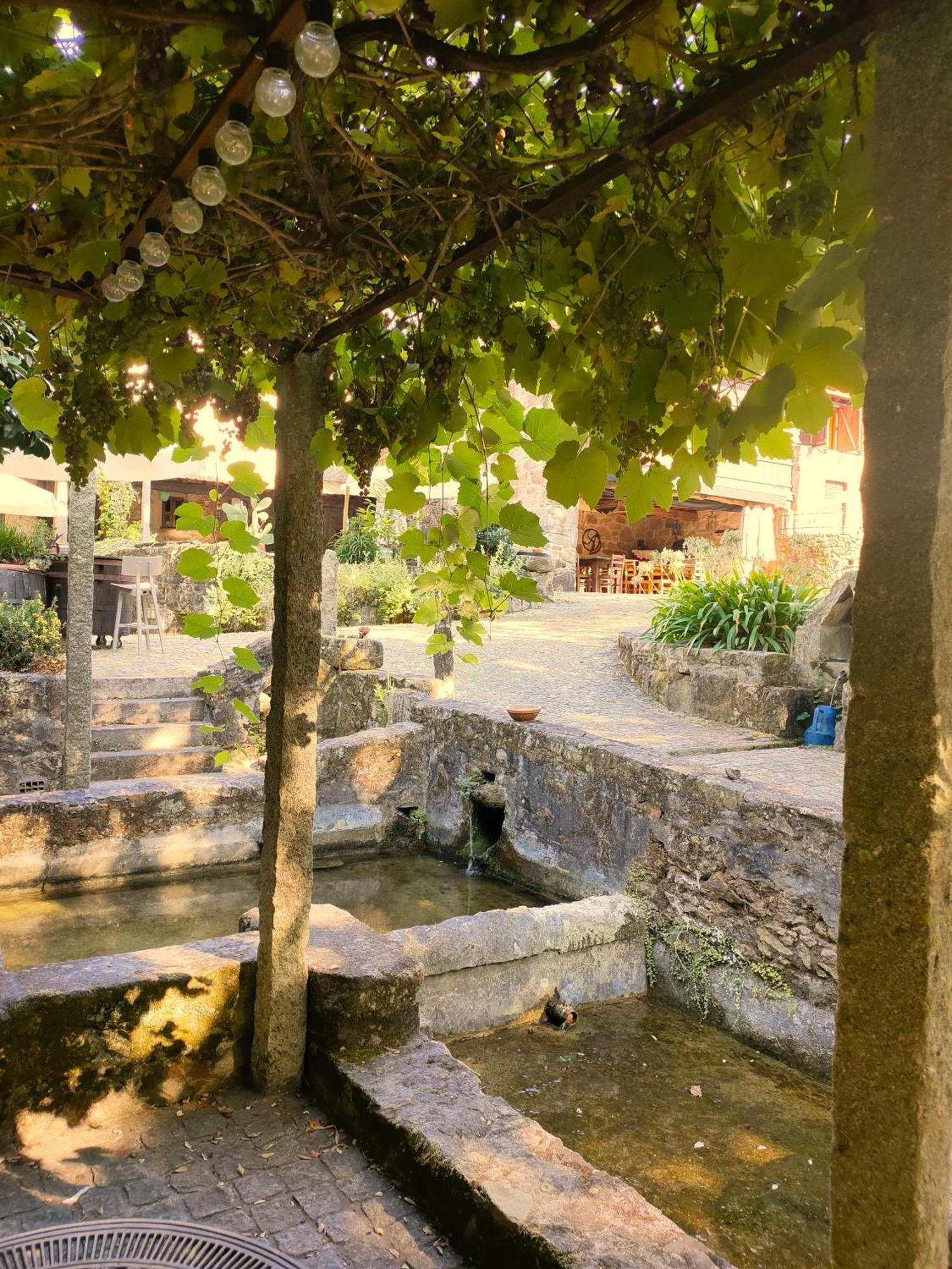 Gasthaus Quinta Padre Lobo Santa Maria da Feira Exterior foto